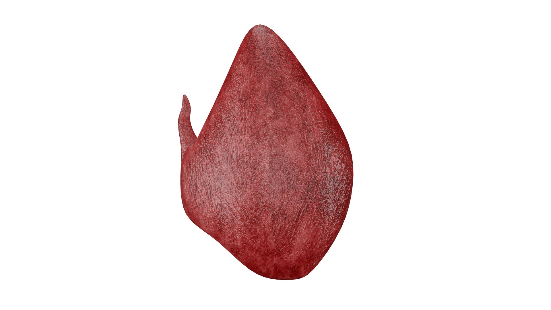 Thyroid 3D Model model https://p.turbosquid.com/ts-thumb/Gj/8xLZdY/kJ/4/png/1713019942/1920x1080/fit_q87/ec95d57e0fa6e4b9ab6e1c3e5e3243e371514b8e/4.jpg