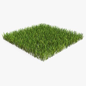 grass lawn 3D model