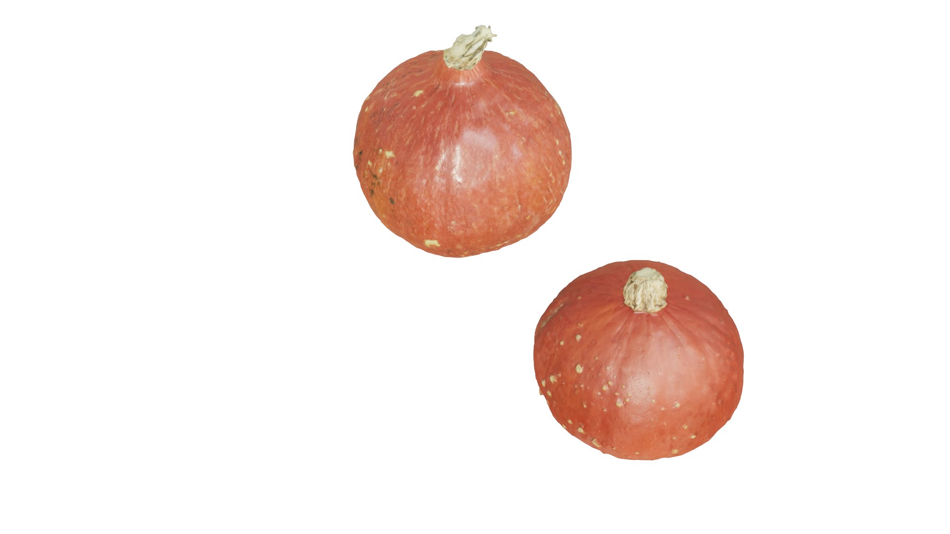 3D pumpkins model https://p.turbosquid.com/ts-thumb/Gj/DHIcaY/FI/z5/png/1668661801/1920x1080/fit_q87/a7fbe7063ae0468086aee6a9b7bf630bcfdcd28e/z5.jpg