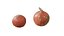 calabazas