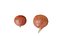 calabazas