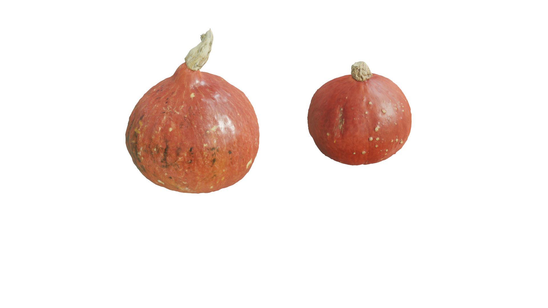 3D pumpkins model https://p.turbosquid.com/ts-thumb/Gj/DHIcaY/oZ/z4/png/1668661806/1920x1080/fit_q87/d355940db2485ea607d8a3d63961570a3547dff8/z4.jpg