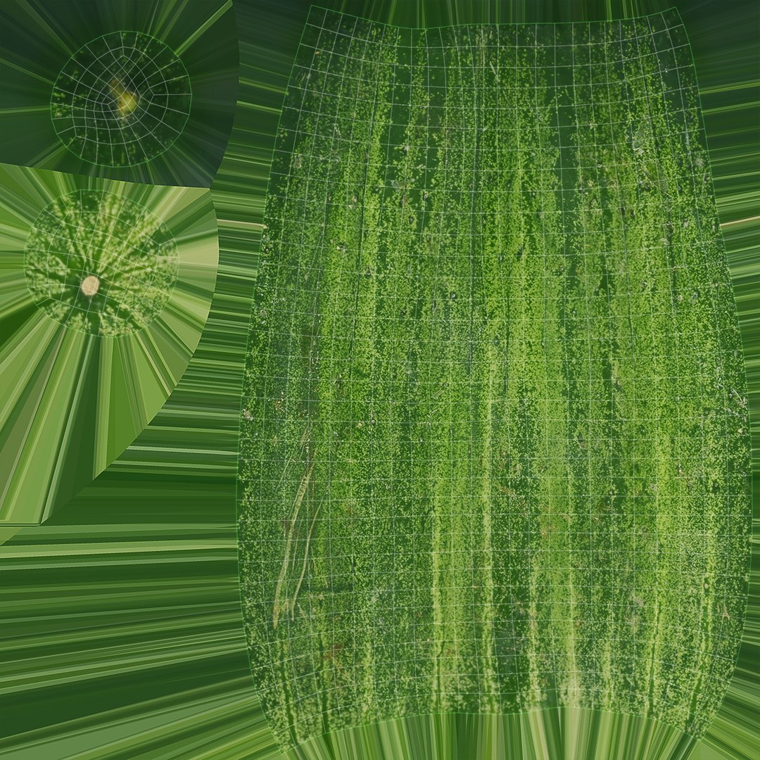 3D Vegetable Collection 2 https://p.turbosquid.com/ts-thumb/Gj/HOg5cu/AI/2z5/jpg/1691075746/1920x1080/fit_q87/4d03beb4bdca7efd7fe053288bcb000a3d29351a/2z5.jpg