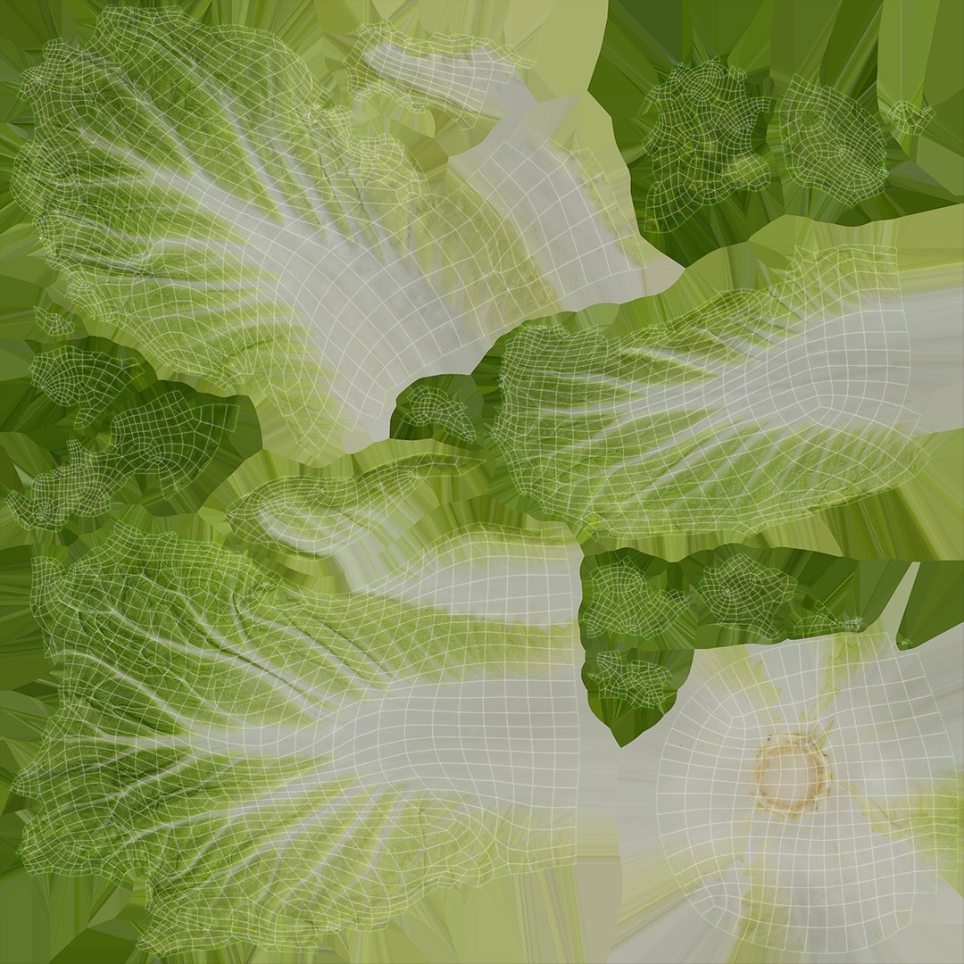 3D Vegetable Collection 2 https://p.turbosquid.com/ts-thumb/Gj/HOg5cu/on/2z2/jpg/1691075726/1920x1080/fit_q87/0176994028f11d532c6d5933826d83d0dc7fdcc9/2z2.jpg