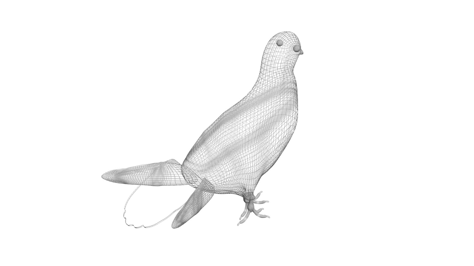 Pigeon model - TurboSquid 1923394
