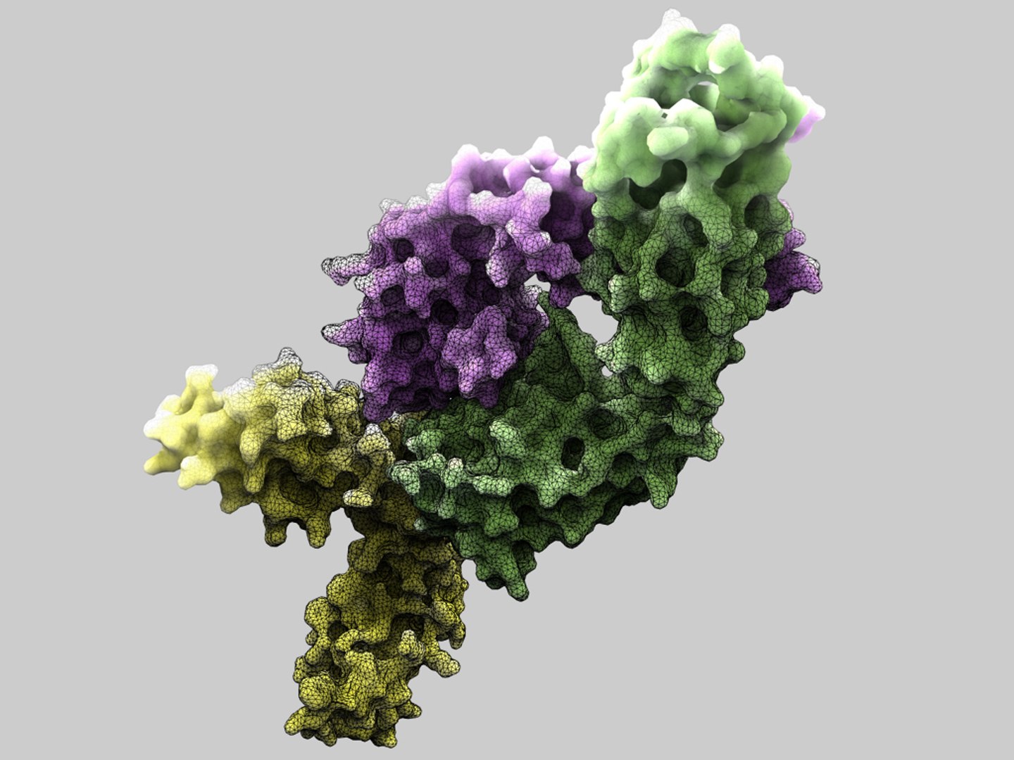 c4d antibody human https://p.turbosquid.com/ts-thumb/Gj/SUbZlg/BNgmY4hg/humanigmrheumatoidfactorfabincomplexwithitsautoantigeni/jpg/1309106130/1920x1080/fit_q87/c355f5cd5ac076985b74812cc091dfccb9ef10b6/humanigmrheumatoidfactorfabincomplexwithitsautoantigeni.jpg