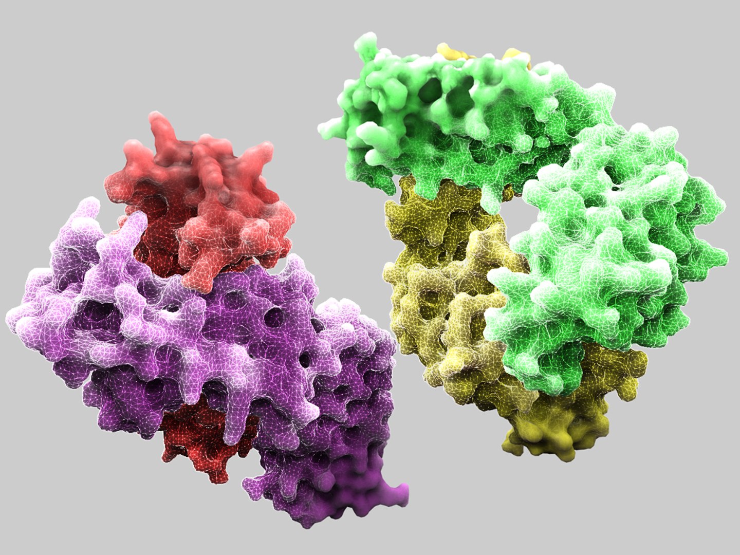 c4d antibody human https://p.turbosquid.com/ts-thumb/Gj/SUbZlg/FeoNnOrt/antisarsm396antibody/jpg/1309106130/1920x1080/fit_q87/d0e570d8edde2433abada60b64e8895321d69c4e/antisarsm396antibody.jpg