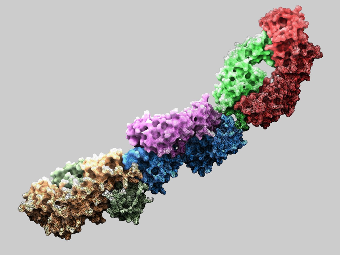 c4d antibody human https://p.turbosquid.com/ts-thumb/Gj/SUbZlg/Fl83cHef/crossreactivehiv1neutralizingcd4binding/jpg/1309106130/1920x1080/fit_q87/9fbed8e86de72c4afe742dd438361def92b435af/crossreactivehiv1neutralizingcd4binding.jpg