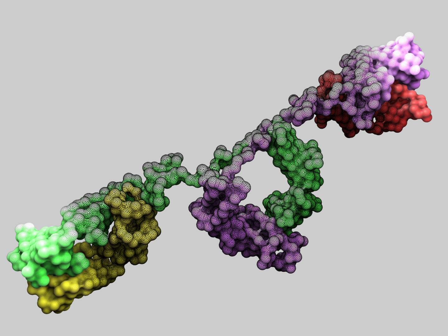 c4d antibody human https://p.turbosquid.com/ts-thumb/Gj/SUbZlg/WpAQvd43/solutionstructureofhumanmyelomaimmunoglobulind/jpg/1309106130/1920x1080/fit_q87/d1e5d7e50fa51da3afe5ddff4403f29f0061fe94/solutionstructureofhumanmyelomaimmunoglobulind.jpg