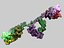Antibody Collection Pack