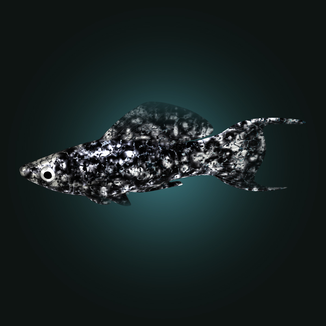 3d dalmation molly male female model https://p.turbosquid.com/ts-thumb/Gj/SUp0jc/1ZPj6uhV/dalmationmollymale_00000.jpg9e336838579f4b43992fbda2be58b254zoom/jpg/1391163553/1920x1080/turn_fit_q99/f60a049cd61310508ac733cc818afbf6c7b2f1a9/dalmationmollymale_00000.jpg9e336838579f4b43992fbda2be58b254zoom-1.jpg