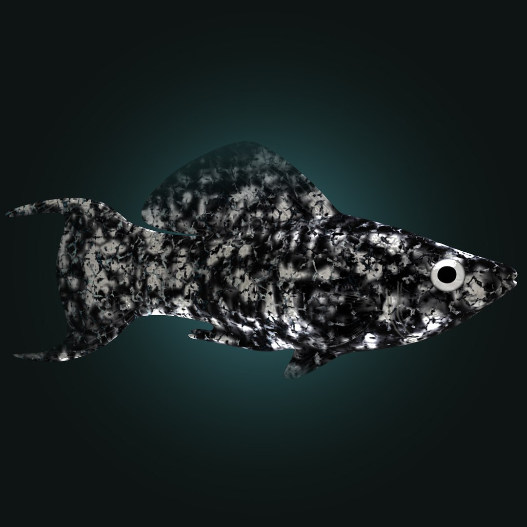 3d dalmation molly male female model https://p.turbosquid.com/ts-thumb/Gj/SUp0jc/4uWopSJ0/dalmationmollymalerr03/jpg/1391163395/1920x1080/fit_q87/196c1a158557ca14423e6fe6c3ed6cde1753d326/dalmationmollymalerr03.jpg