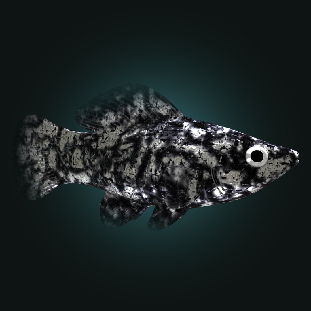 3d dalmation molly male female model https://p.turbosquid.com/ts-thumb/Gj/SUp0jc/JTJyMAXT/dalmationmollyfemalerr06/jpg/1391163487/1920x1080/fit_q87/49c713cef1fa9b38de4b82fd5f9d08d7b4b84a12/dalmationmollyfemalerr06.jpg