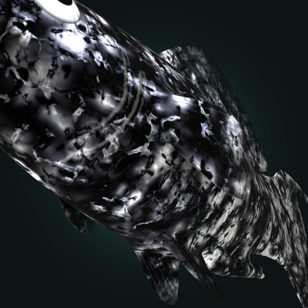 3d dalmation molly male female model https://p.turbosquid.com/ts-thumb/Gj/SUp0jc/LMuK7dYj/dalmationmollymalerr11/jpg/1391163395/1920x1080/fit_q87/720d278cf5a47ac1811ee748232737d11d320907/dalmationmollymalerr11.jpg