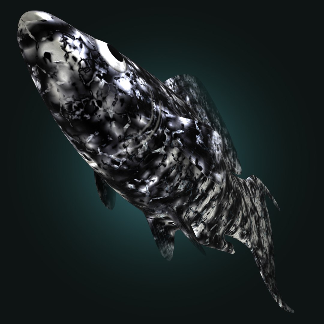 3d dalmation molly male female model https://p.turbosquid.com/ts-thumb/Gj/SUp0jc/M45c3k0H/dalmationmollymalerr10/jpg/1391163395/1920x1080/fit_q87/cacc9e57403a1bdac34f1092af8c085dba49d639/dalmationmollymalerr10.jpg