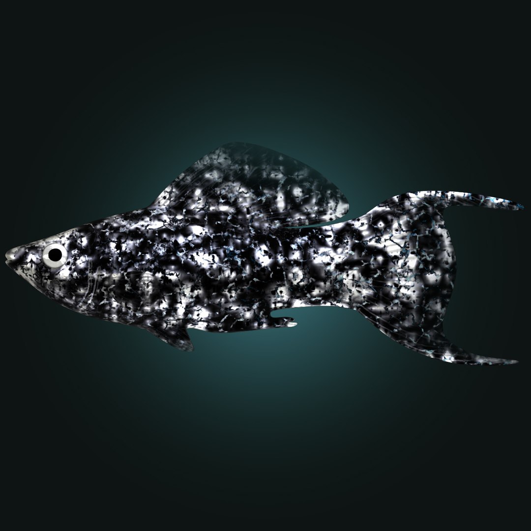 3d dalmation molly male female model https://p.turbosquid.com/ts-thumb/Gj/SUp0jc/RSuBsdff/dalmationmollymalerr01/jpg/1391163394/1920x1080/fit_q87/10a3e88467e302aa76e51427afb24fa00ba6459d/dalmationmollymalerr01.jpg