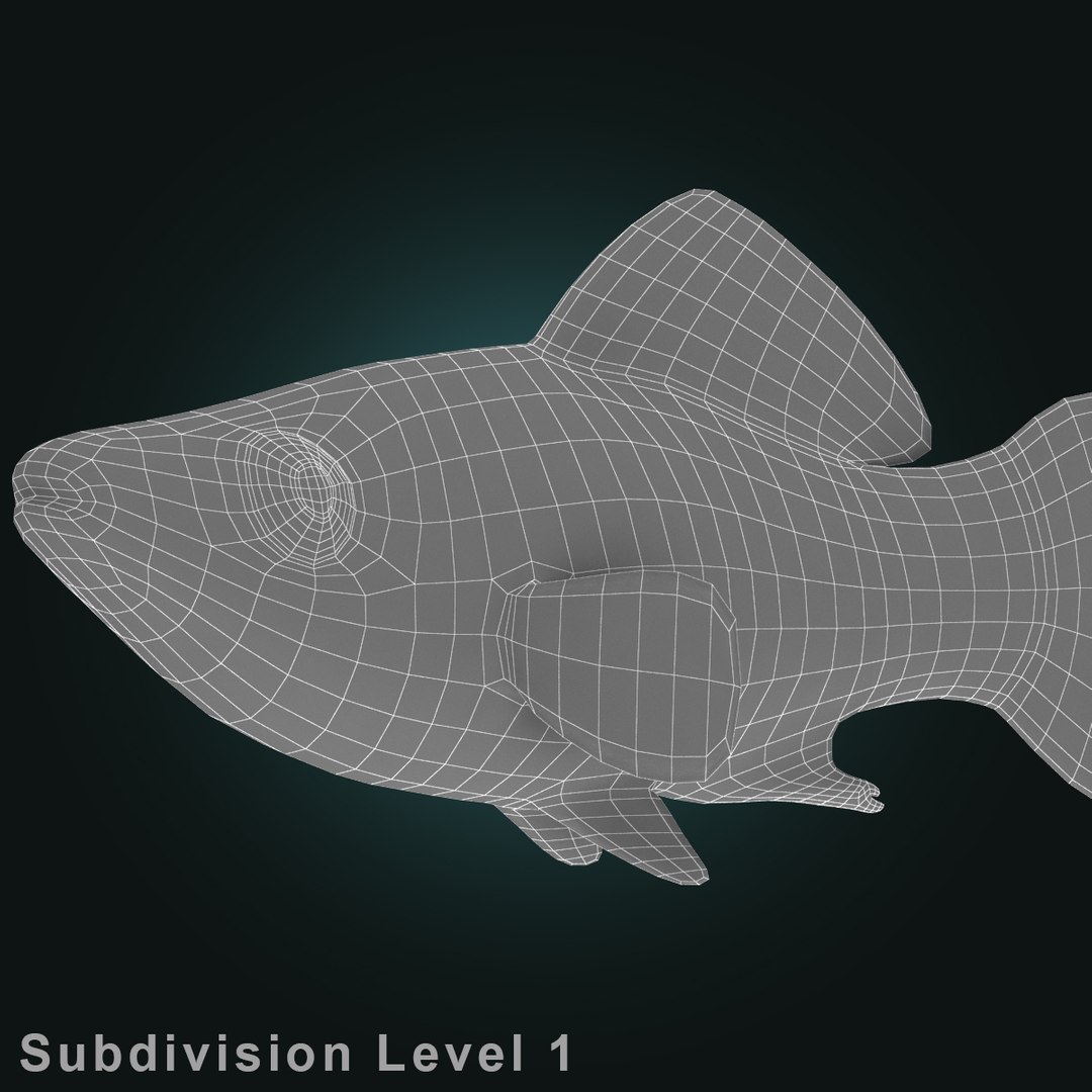 3d dalmation molly male female model https://p.turbosquid.com/ts-thumb/Gj/SUp0jc/SK2AfVHG/dalmationmollymalerr12/jpg/1391163395/1920x1080/fit_q87/54f2b0fa81cf091f9f4fd4bf23cafd46d4fa9396/dalmationmollymalerr12.jpg