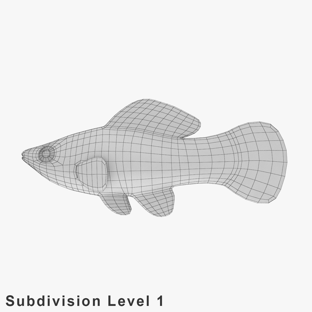 3d dalmation molly male female model https://p.turbosquid.com/ts-thumb/Gj/SUp0jc/oDwXr8X1/dalmationmollyfemalerr08/jpg/1391163487/1920x1080/fit_q87/bf1fc14feb4417b10eeafe384e98b6c99c5c8f29/dalmationmollyfemalerr08.jpg