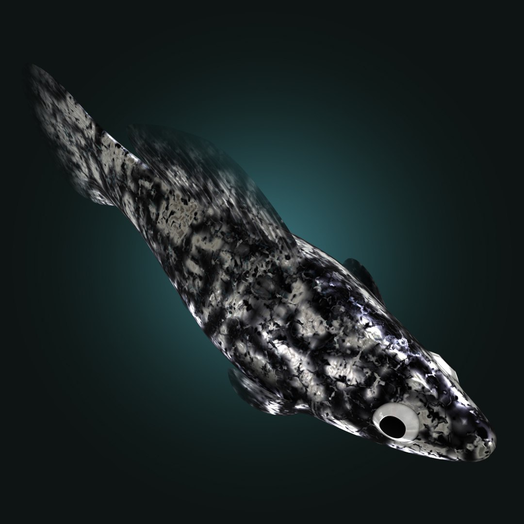 3d dalmation molly male female model https://p.turbosquid.com/ts-thumb/Gj/SUp0jc/tCqpPYvb/dalmationmollyfemalerr05/jpg/1391163487/1920x1080/fit_q87/d8605e565017eadc03eacffbacc5618b57e1ac9e/dalmationmollyfemalerr05.jpg