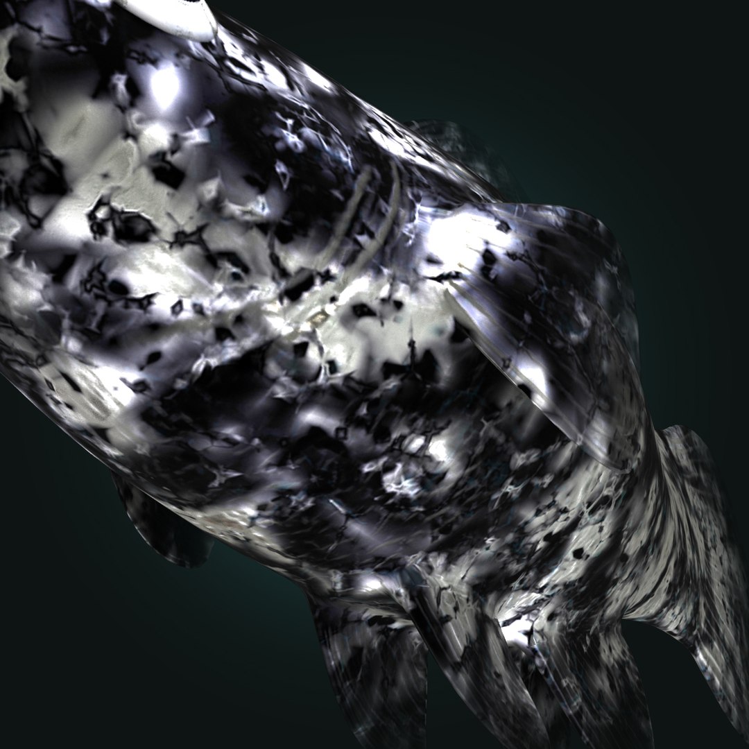 3d dalmation molly male female model https://p.turbosquid.com/ts-thumb/Gj/SUp0jc/xK9DvSND/dalmationmollyfemalerr04/jpg/1391163487/1920x1080/fit_q87/02640efaa3ee6482c58cde2a7f926d3af2e66efc/dalmationmollyfemalerr04.jpg