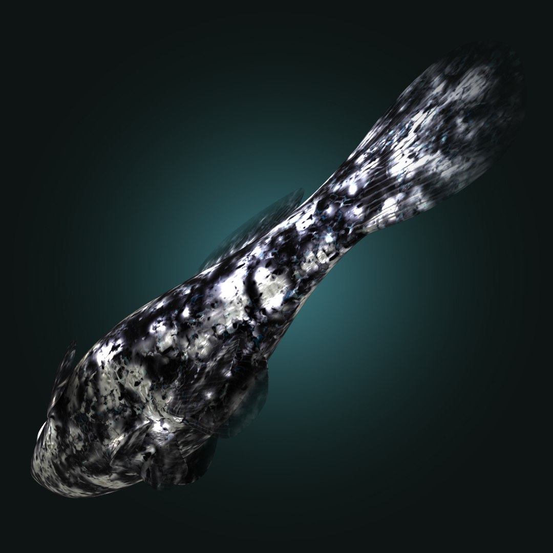 3d dalmation molly male female model https://p.turbosquid.com/ts-thumb/Gj/SUp0jc/xZ635vCG/dalmationmollyfemalerr15/jpg/1391163487/1920x1080/fit_q87/1ede4e61bd47bd918896b60c595966746a31c52e/dalmationmollyfemalerr15.jpg