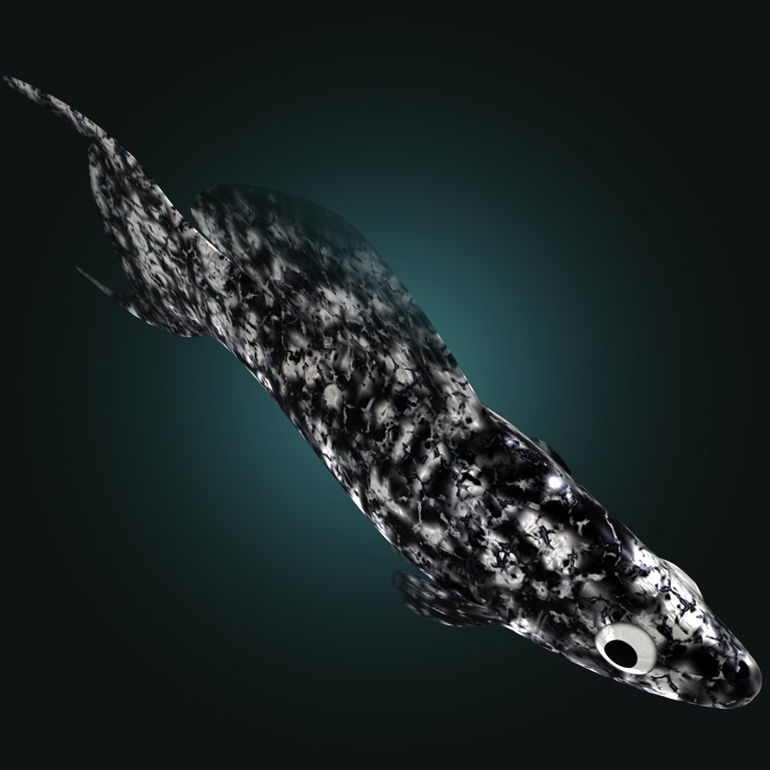 3d dalmation molly male female model https://p.turbosquid.com/ts-thumb/Gj/SUp0jc/yUQgeNQG/dalmationmollymalerr02/jpg/1391163394/1920x1080/fit_q87/11e20b276005e24bc019dd7c7fb47c0c9e31c36f/dalmationmollymalerr02.jpg