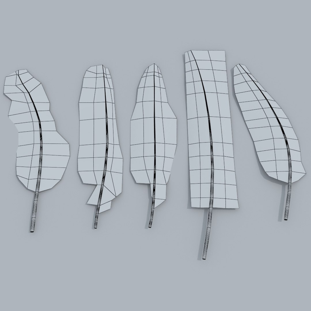 x feathers https://p.turbosquid.com/ts-thumb/Gj/UIvoXn/H1Yd2BvD/wire_001/jpg/1478523337/1920x1080/fit_q87/e38afc40f20e485350d565f6ad2bbf70797cf78b/wire_001.jpg