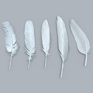 x feathers