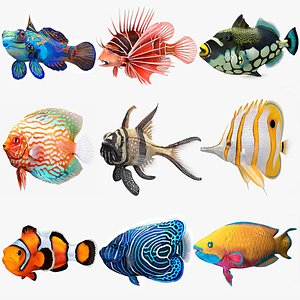 Coral Fish Collection 4 Rigged for Maya