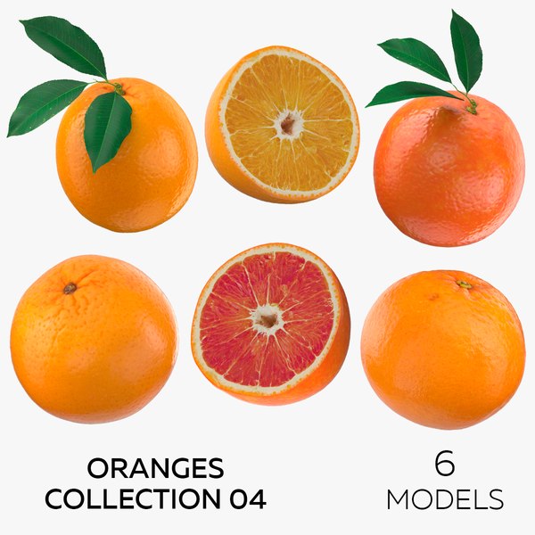 Oranges Collection 04 - 6 models 3D model