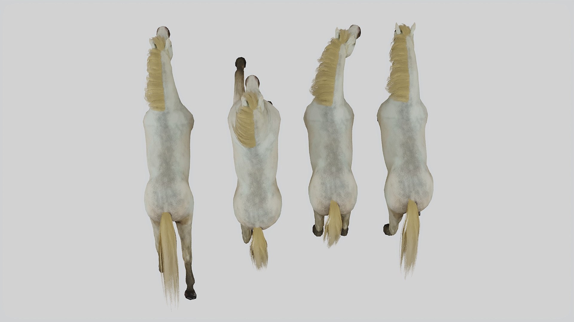Horse set in 4 Poses 3D https://p.turbosquid.com/ts-thumb/Gj/dJfNSL/23/5/jpg/1739803006/1920x1080/fit_q87/3c4f9f97d51ff34cc0001539db2b9e94741e1f87/5.jpg