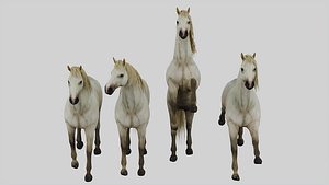 Horse set in 4 Poses 3D