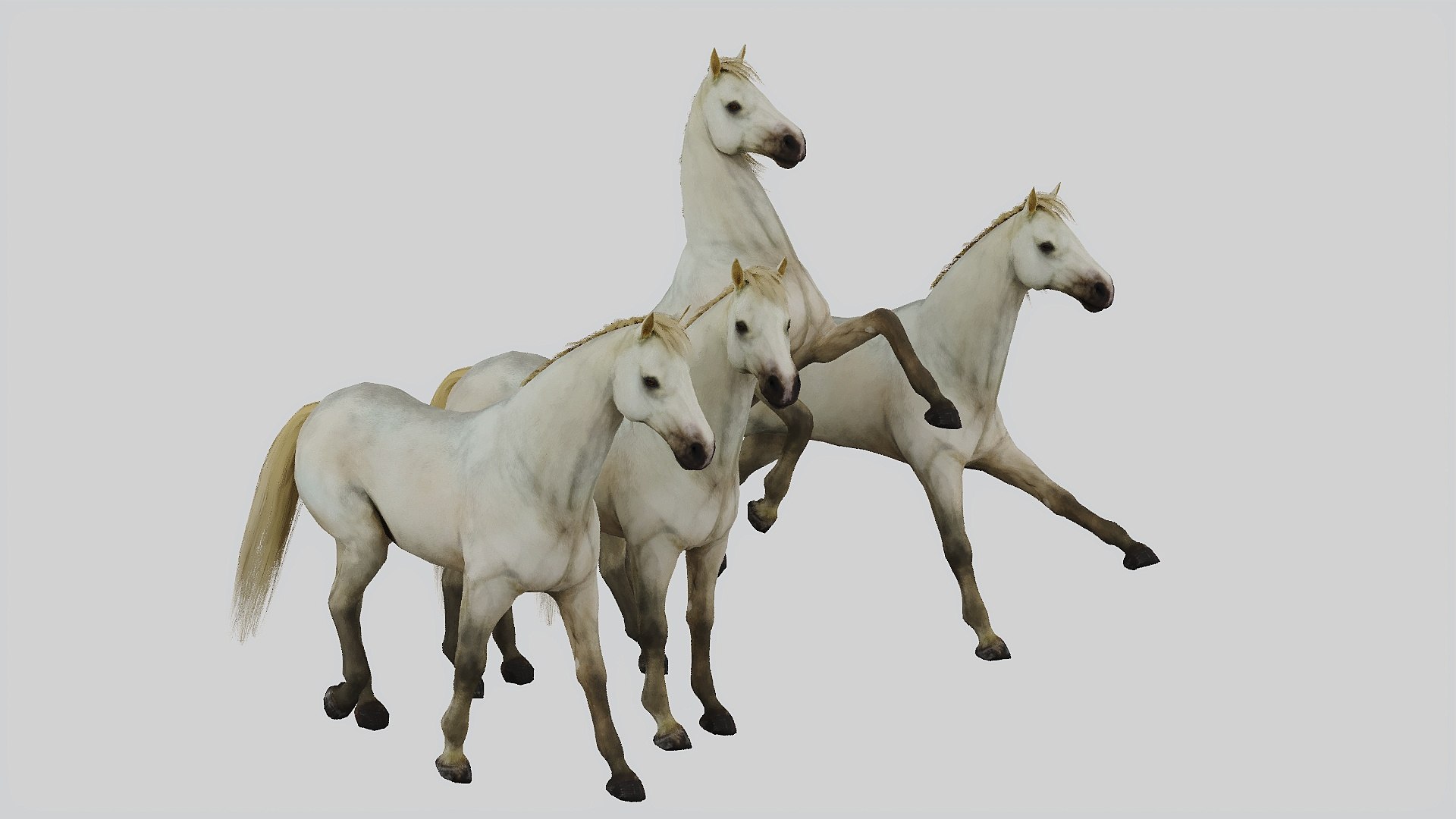 Horse set in 4 Poses 3D https://p.turbosquid.com/ts-thumb/Gj/dJfNSL/Cv/2/jpg/1739803004/1920x1080/fit_q87/291715bde0685a39dcf7d67c8bfee6af8d907021/2.jpg