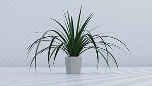3D Spider Plant