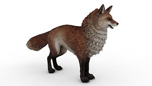 3D Red fox