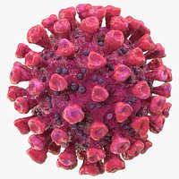 Coronavirus 2019-nCoV SARS-CoV-2