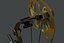 compound bow 3d model