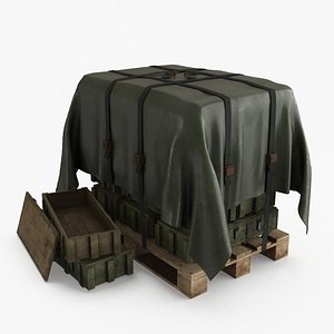 3D Ammo Military Cargo Case1 model