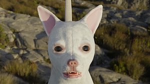 Chihuahua 3D