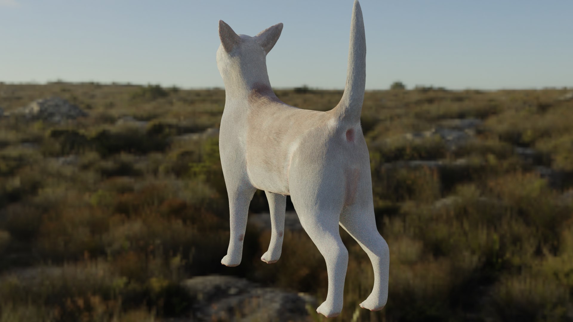 Chihuahua 3D https://p.turbosquid.com/ts-thumb/Gj/tFVO4U/5R/back/png/1634920224/1920x1080/fit_q87/b1634b64a265ba48cd5cf235935267babe97e5bd/back.jpg