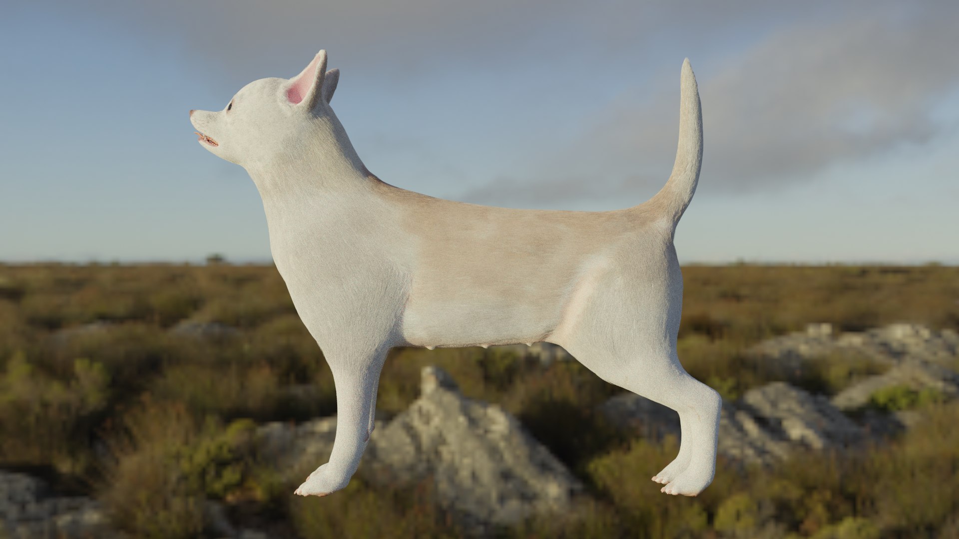 Chihuahua 3D https://p.turbosquid.com/ts-thumb/Gj/tFVO4U/BN/sideview1/png/1634920220/1920x1080/fit_q87/64e1682d442d9065671b5d68dcc43f37a477ac6a/sideview1.jpg