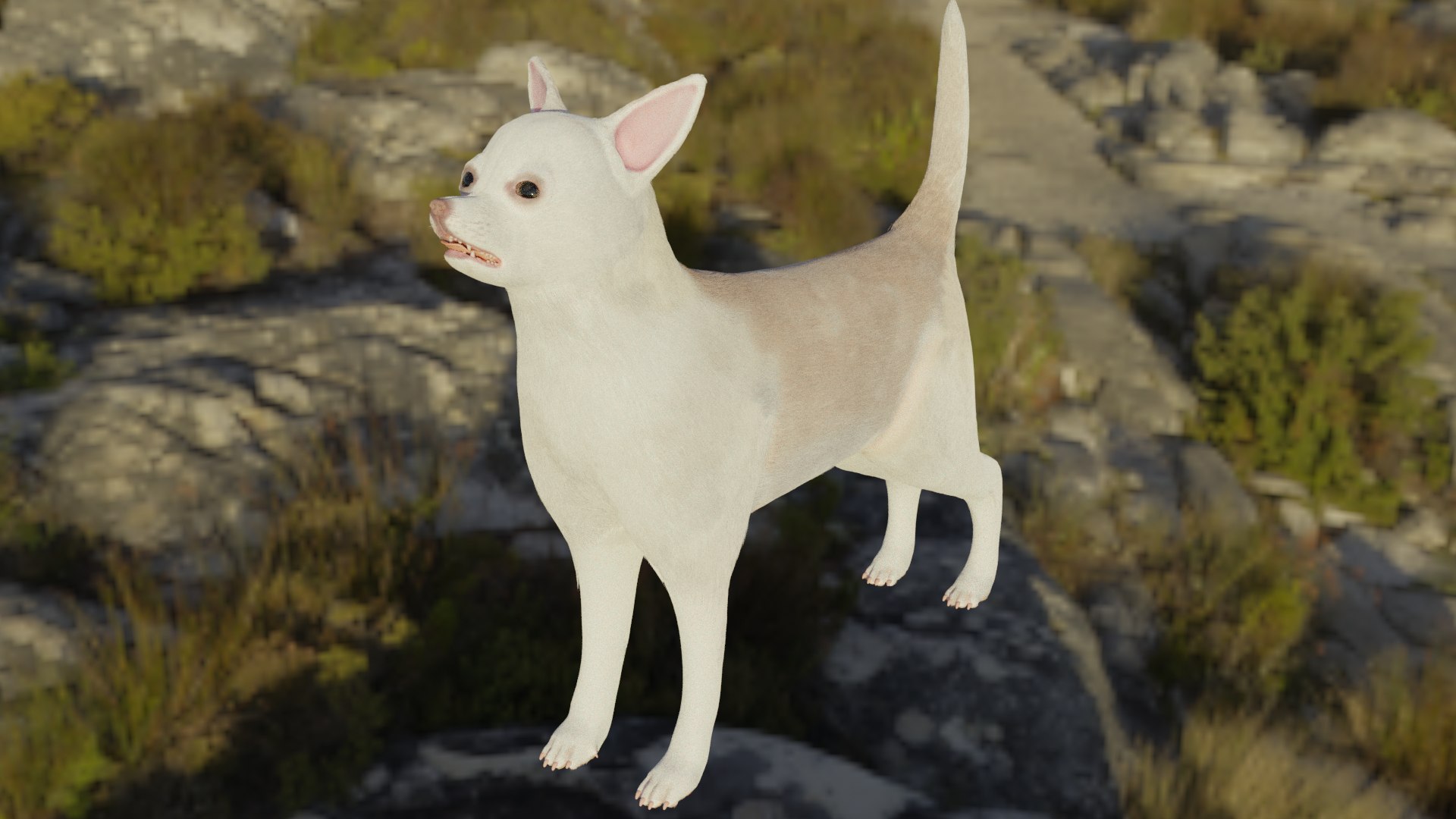 Chihuahua 3D https://p.turbosquid.com/ts-thumb/Gj/tFVO4U/oz/frontsideview/png/1634920164/1920x1080/fit_q87/6a680960f99ab56f364bb73a252799c20f3b8017/frontsideview.jpg