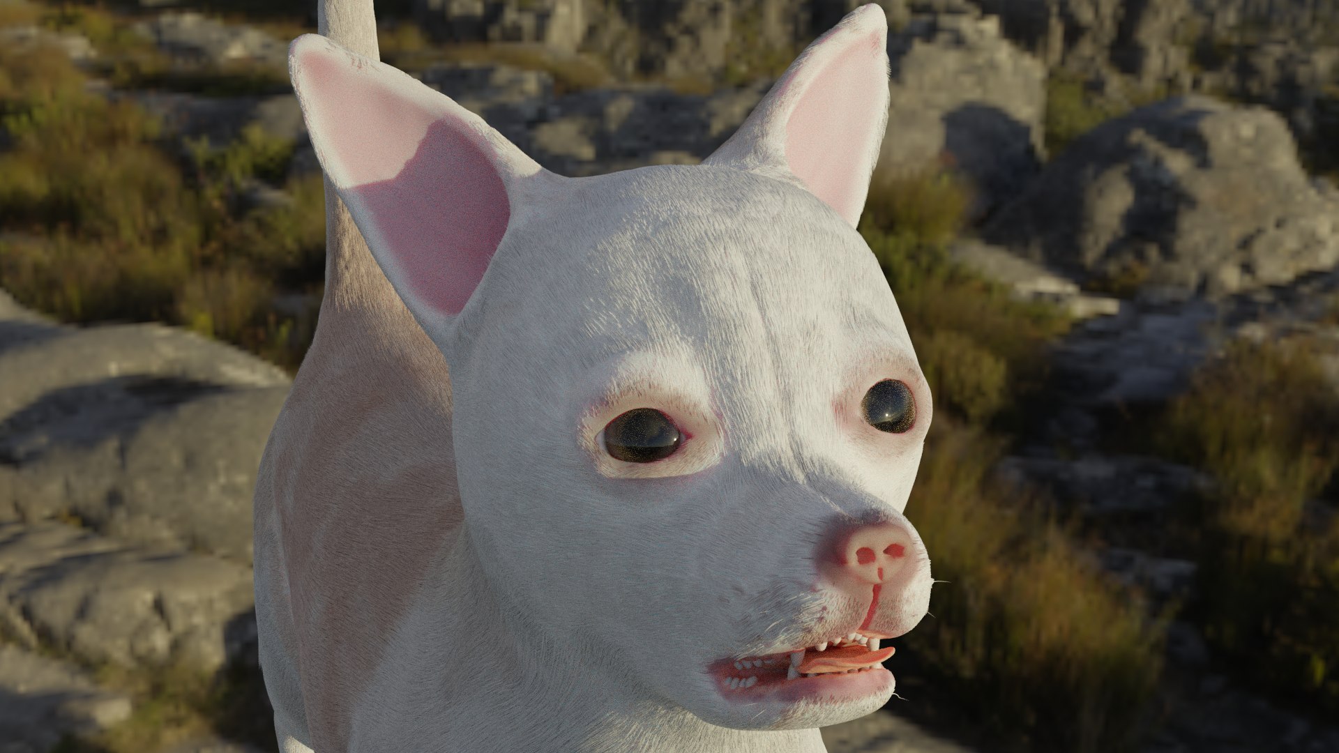 Chihuahua 3D https://p.turbosquid.com/ts-thumb/Gj/tFVO4U/zZ/frontsideview2/png/1634920169/1920x1080/fit_q87/8bf72e7951543cd4860561a4eb5e03a233a8bb70/frontsideview2.jpg