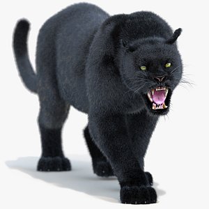 Black Panther Animated Fur