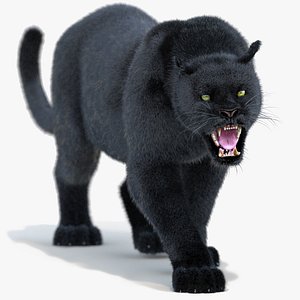 Black Panther Animated Fur