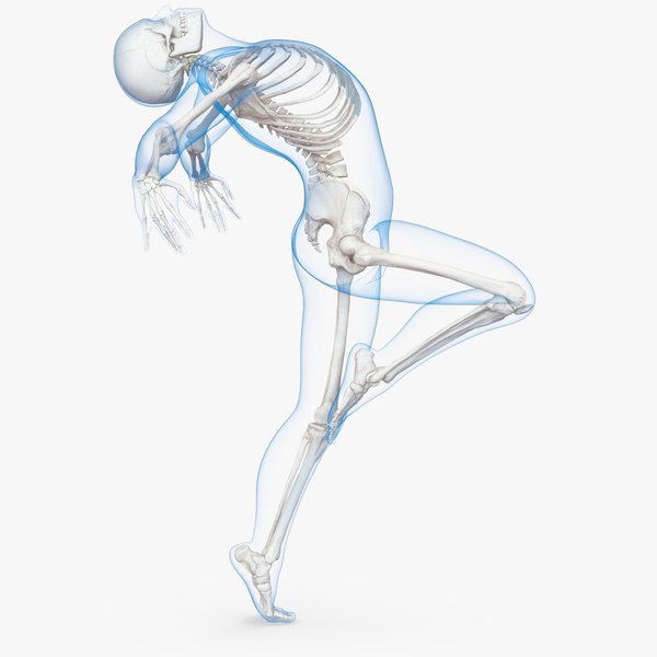 male body skeleton ballet 3D