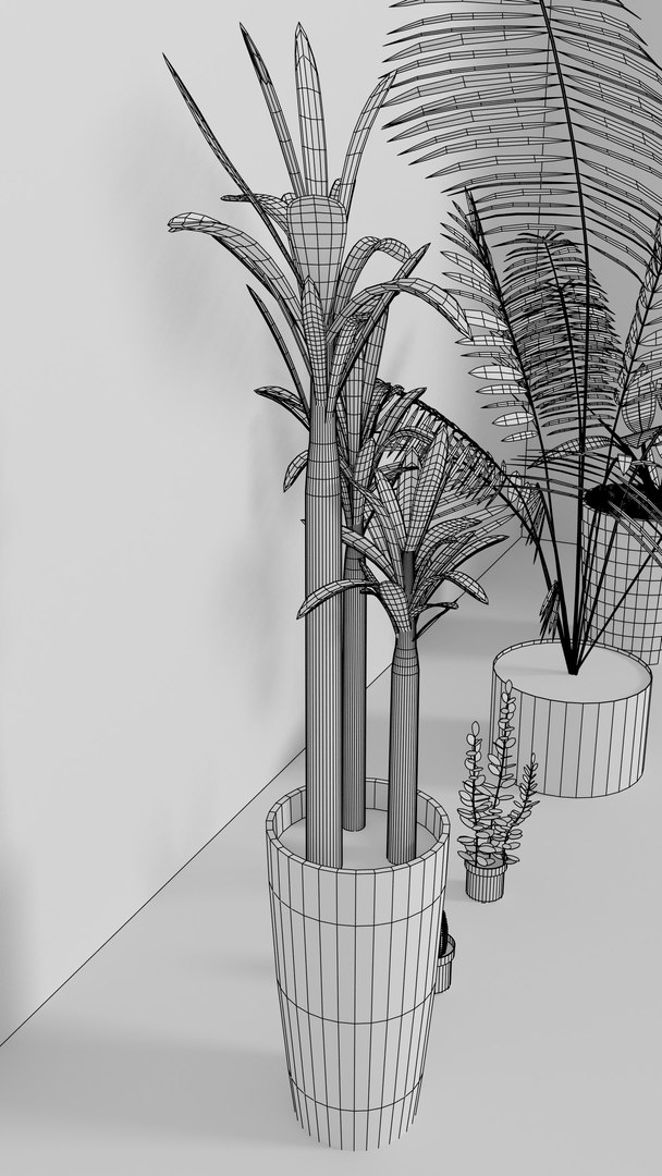 indoor plants 3D model https://p.turbosquid.com/ts-thumb/Gk/FJGHMG/0yRb45ia/10/png/1548689707/1920x1080/fit_q87/1f274c8f7bee143e4735a011d2f6cf4ad245a25b/10.jpg