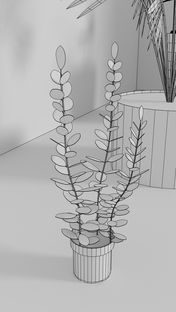 indoor plants 3D model https://p.turbosquid.com/ts-thumb/Gk/FJGHMG/91AJ760Q/14/png/1548689707/1920x1080/fit_q87/bb76a9e989320632089ee502d403447dd9ce1a6f/14.jpg