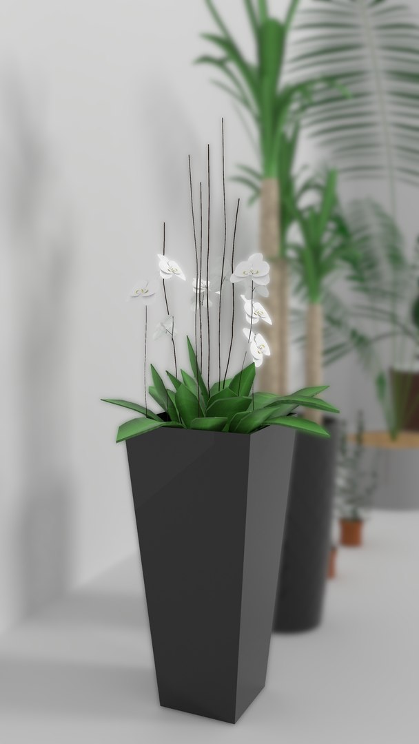 indoor plants 3D model https://p.turbosquid.com/ts-thumb/Gk/FJGHMG/EsaDoc60/7/png/1548689503/1920x1080/fit_q87/e5c32fe8a812c118962f84c9ee41a836db3eb8fa/7.jpg