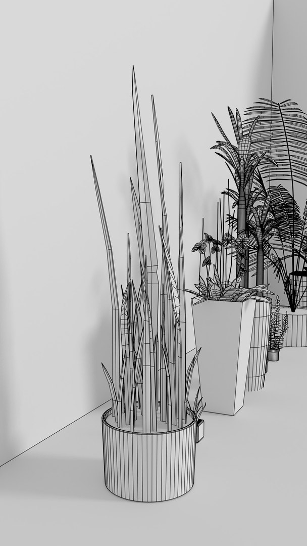 indoor plants 3D model https://p.turbosquid.com/ts-thumb/Gk/FJGHMG/EwaSGYwM/4/png/1548689075/1920x1080/fit_q87/e6ef52400e4130dbf25f34fab163b776c429c2ef/4.jpg